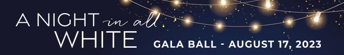 Gala banner